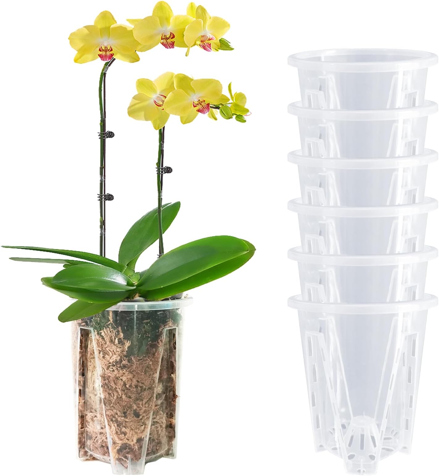 pavtner Orchid Pot 6 Pack 4.7 Inch, Plastic Clear Orchid Pots with Holes, Orchid Pots for Repotting, Flower Planter Pot Indoor Outdoor