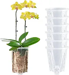 Pote de orquídeas pacote com 6, vasos de orquídeas transparentes de 12 cm com furos, vaso de orquídeas para replantação, vaso de flores interno e externo, vaso de orquídeas