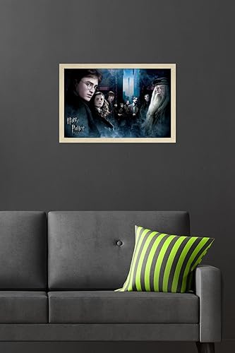 Vista 44 de Trends International Harry Potter y el príncipe mestizo - Póster de pared de la fraternidad, 22.375 x 34 pulgadas, versión premium sin marco