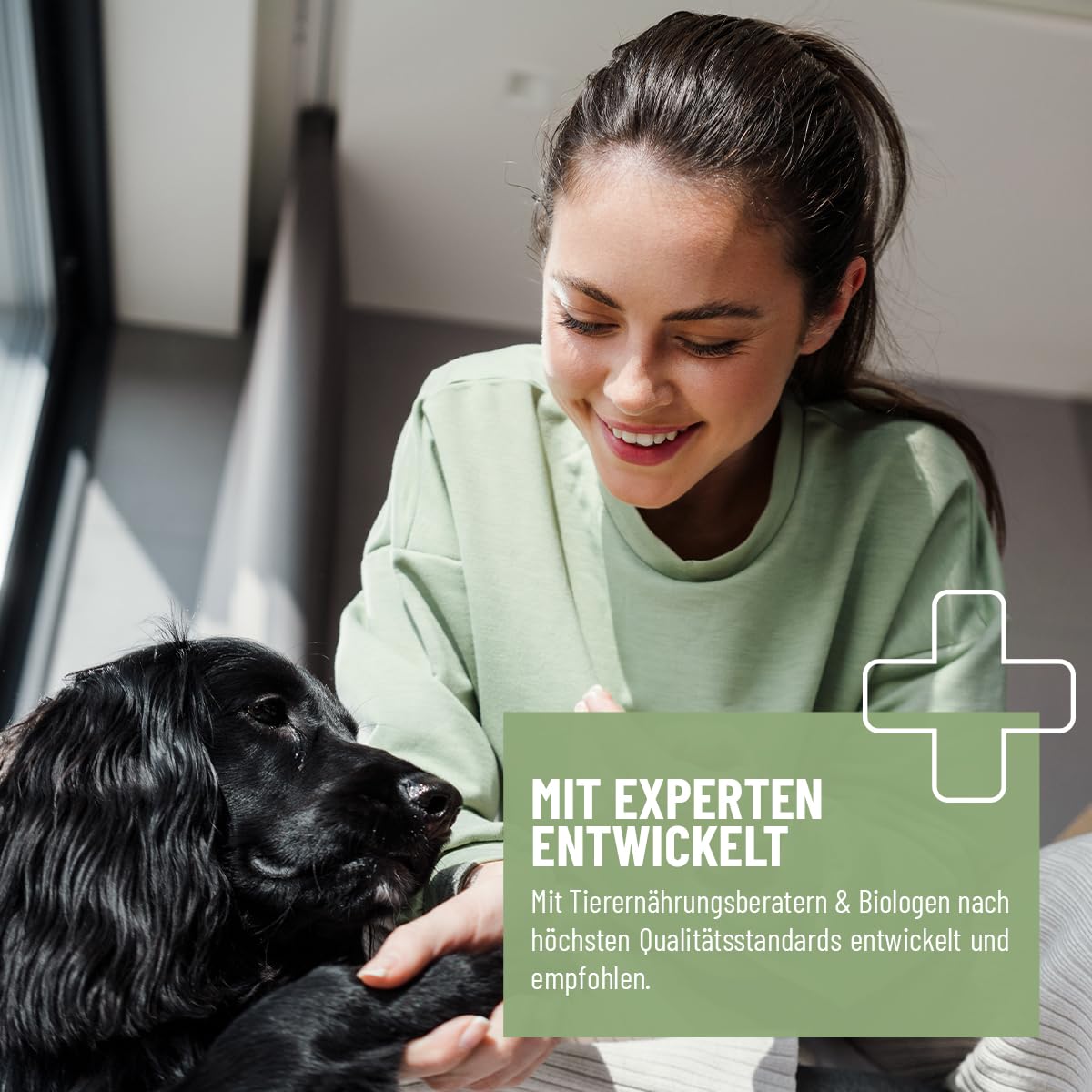 TESTURTEIL SEHR GUT 2026 ReaVET Grünlippmuschel Extrakt Pulver 500g für Hunde I Grünlippmuschelpulver Hund für Katze & Pferde hochdosiert I nach behandelter Arthrose, Arthritis - Barf Futterzusatz