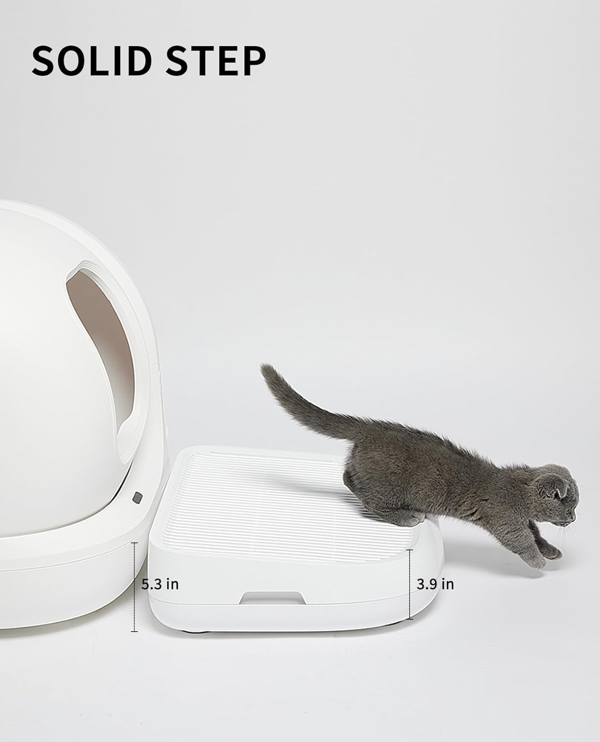 https://m.media-amazon.com/images/I/61Y-vdmfKUL._AC_SL1500_.jpg