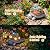 Snclriao Solar Turtle Garden Outdoor Decor with Succulent & 7 LED Lights – Outside Tortoise Statue Decor for Yard Patio Balcony & Backyard - Home House Decoration Art - Gift for Men Dad Women Mom