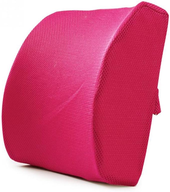 HomDSim Memory Foam Lumbar Cushion Lower Back Support Pillow Posture Correcting Car Seat Home