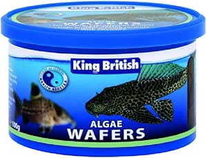 The Benefits of Hikari Algae Wafers for Your Freshwater Fish