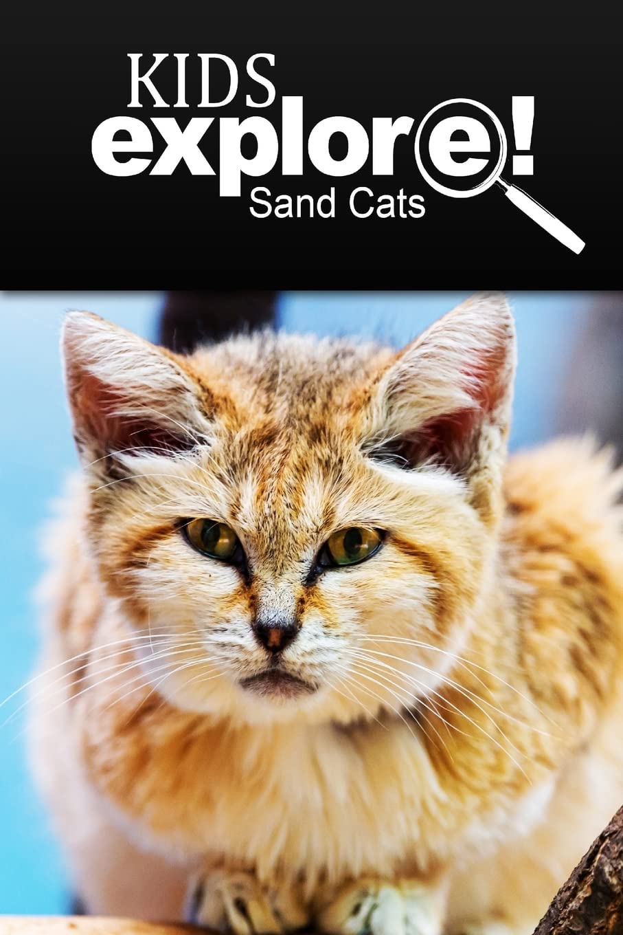 Sand Cats - Kids Explore: Animal books nonfiction - books ages 5-6 [Paperback] Explore!, Kids