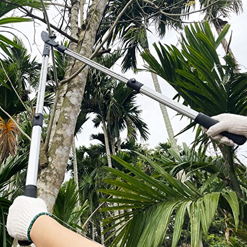 Tijeras podadoras telescópicas de 26-41 pulg, hoja de yunque miniatura 6