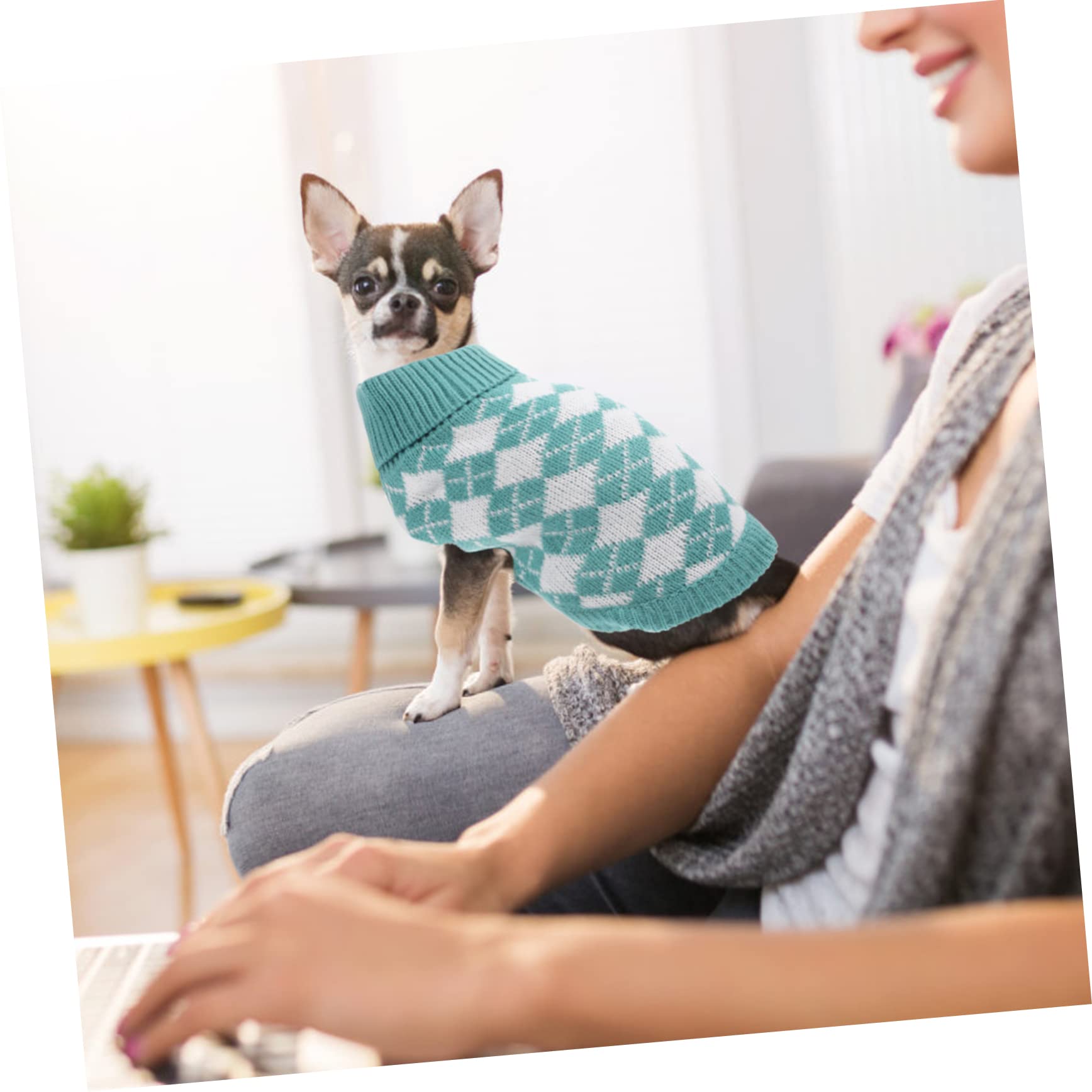 BESPORTBLE 4pièces Pull pour Animaux Vêtement Chaud à Carreaux pour Chiens Et Costume Et Hiver pour Petits Et Animaux