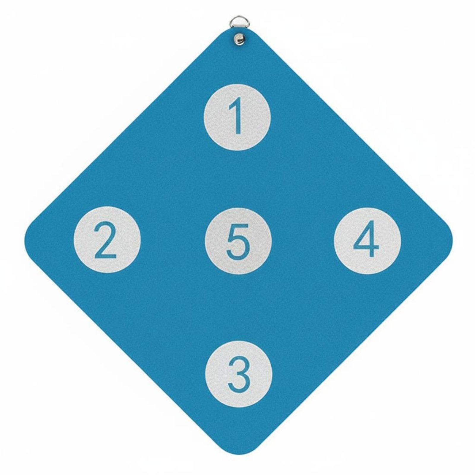 Meadawgs®Double Sided Fencing Target Puncture Resistant Fencing Wall Mount Target Sports Accessory for Fencers, Beginners, Training Lake Blue Simple|Sporting Goods|Team Sports|Fencing|Other Fencing-image-26