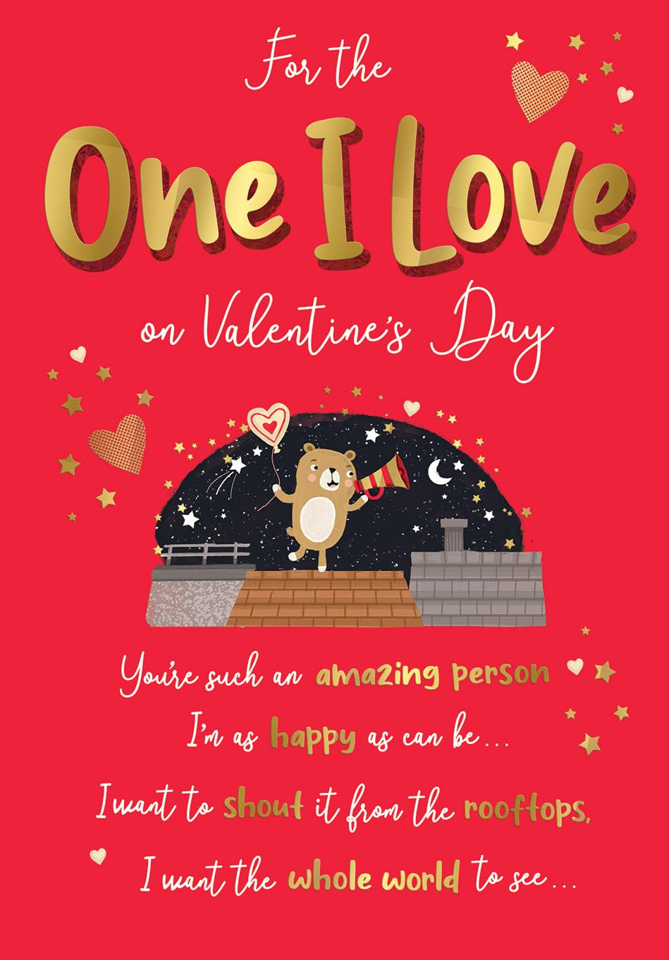 Piccadilly Greetings Valentine's Day Card, For The One I Love You Are Such An Amazing Person - 9 x 6 inches