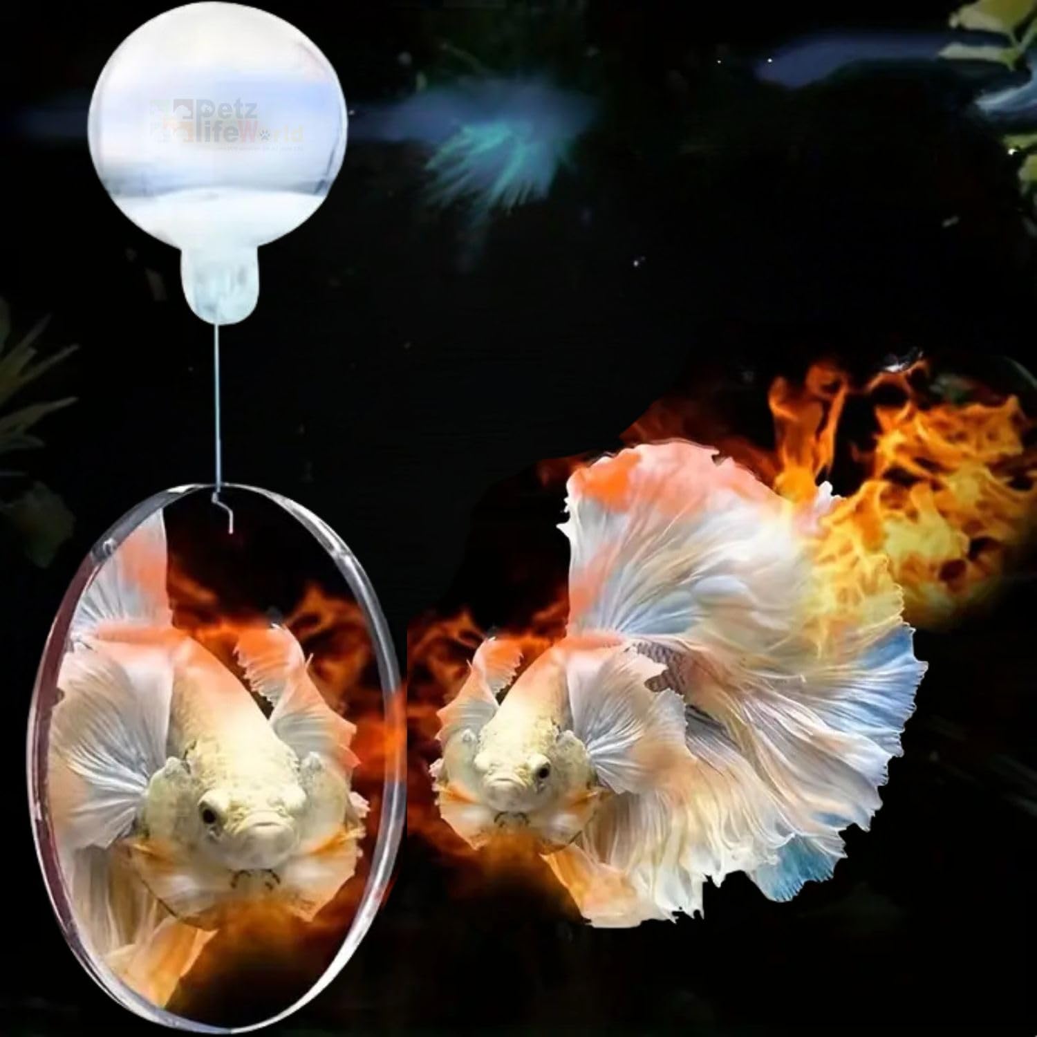 VAYINATO 4Cm Double Sided Betta Mirror Plaything For Fish Tank, Betta Exercise Mirror Circle Exercise Mirror With Floating Ball | Smooth Edges By Petzlifeworld (B0D1C74M13) Amazon Price History, Amazon Price Tracker