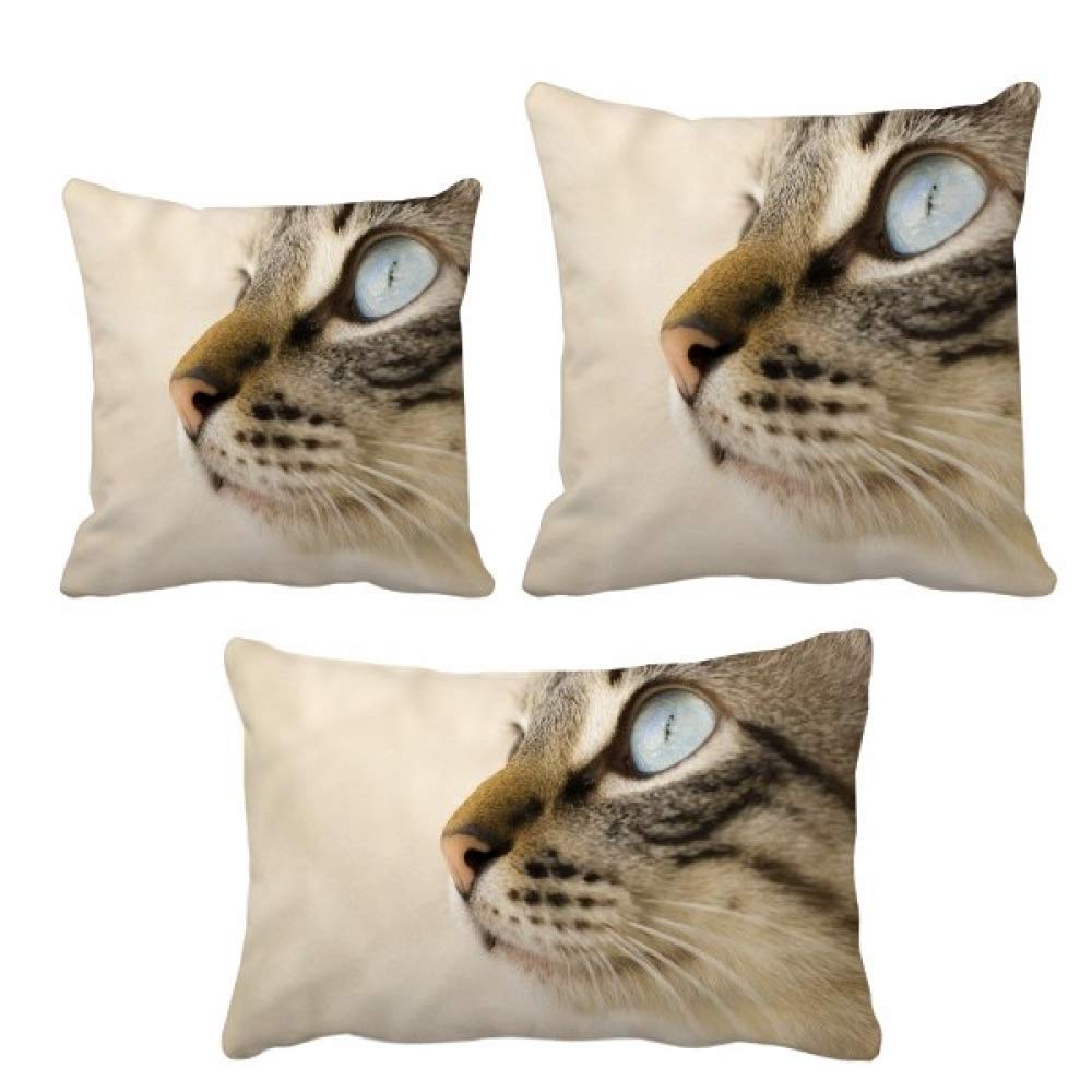 Housse de coussin œil bleu gris élégance et finitions haut de gamme