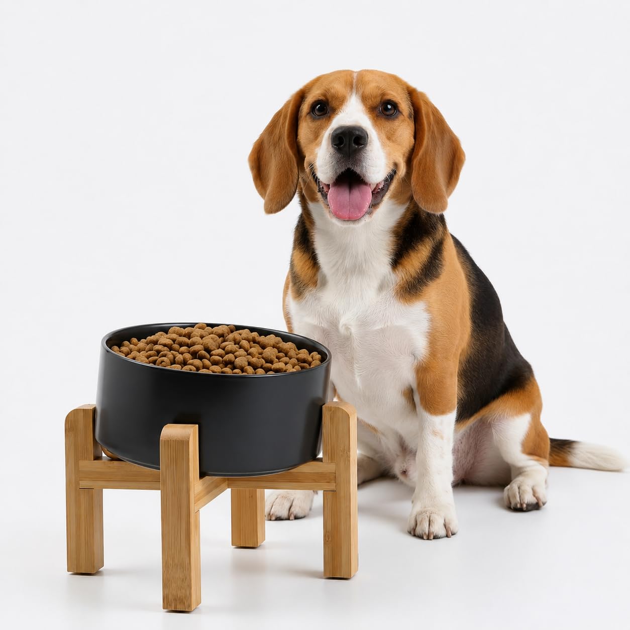 Petygooing Black improve 15 Degree Slanted Ceramic Bowl
