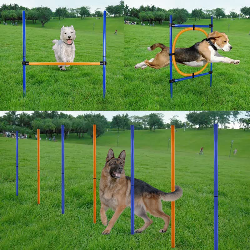 Attrezzature per l'agilità del cane, kit di addestramento per corsi a ostacoli, giochi all'aperto per animali domestici per cortile, interazione con animali domestici, mantenere gli animali domestic