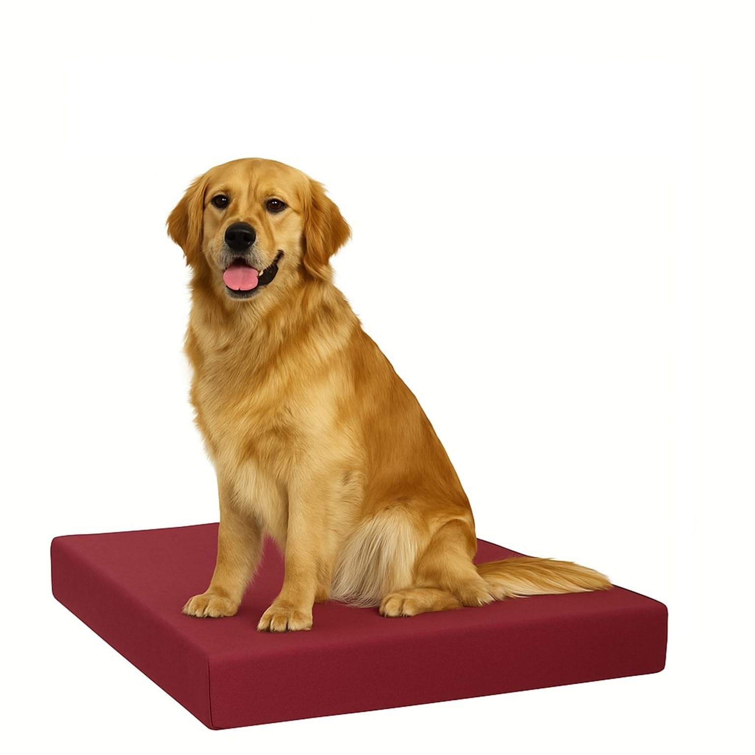 FOAMSUPA Heavy Duty Pet Dog Bed Mattress Mat Cushion with Tough Waterproof cover (Burgundy, Large 90cm x 60cm x 5cm – 36″ x 24″ x 2″)