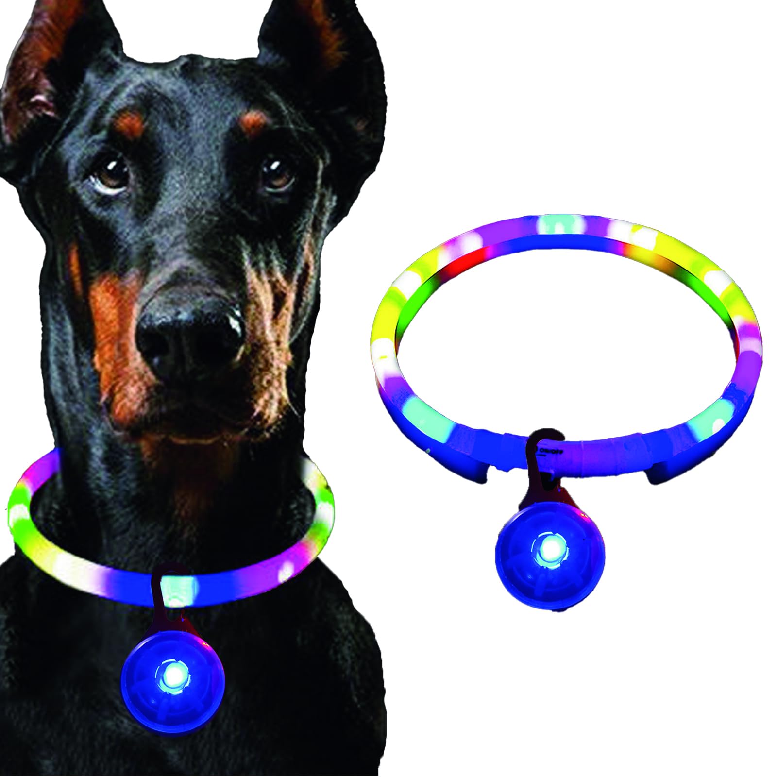 Light Up Dog Collar, Dog Collar Light with Flashing Pendants
