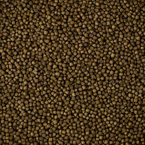 Nutramare Koi360 Basic 10kg | Schwimmendes Koi-Fischfutter für Frühjahr & Sommer | Mit Lachsöl & Montillit Aktivton | Ganzjahresfutter