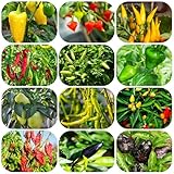 Los colores atractivos crean una hermosa visión para el paisaje de su jardín.