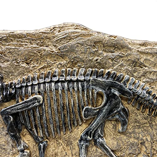 Xindam KL999 Resin Triceratops Dinosaur Fossil Statue Model Simulated Skeleton Home Office Display Decorative Craft Box Decoration thumb #5