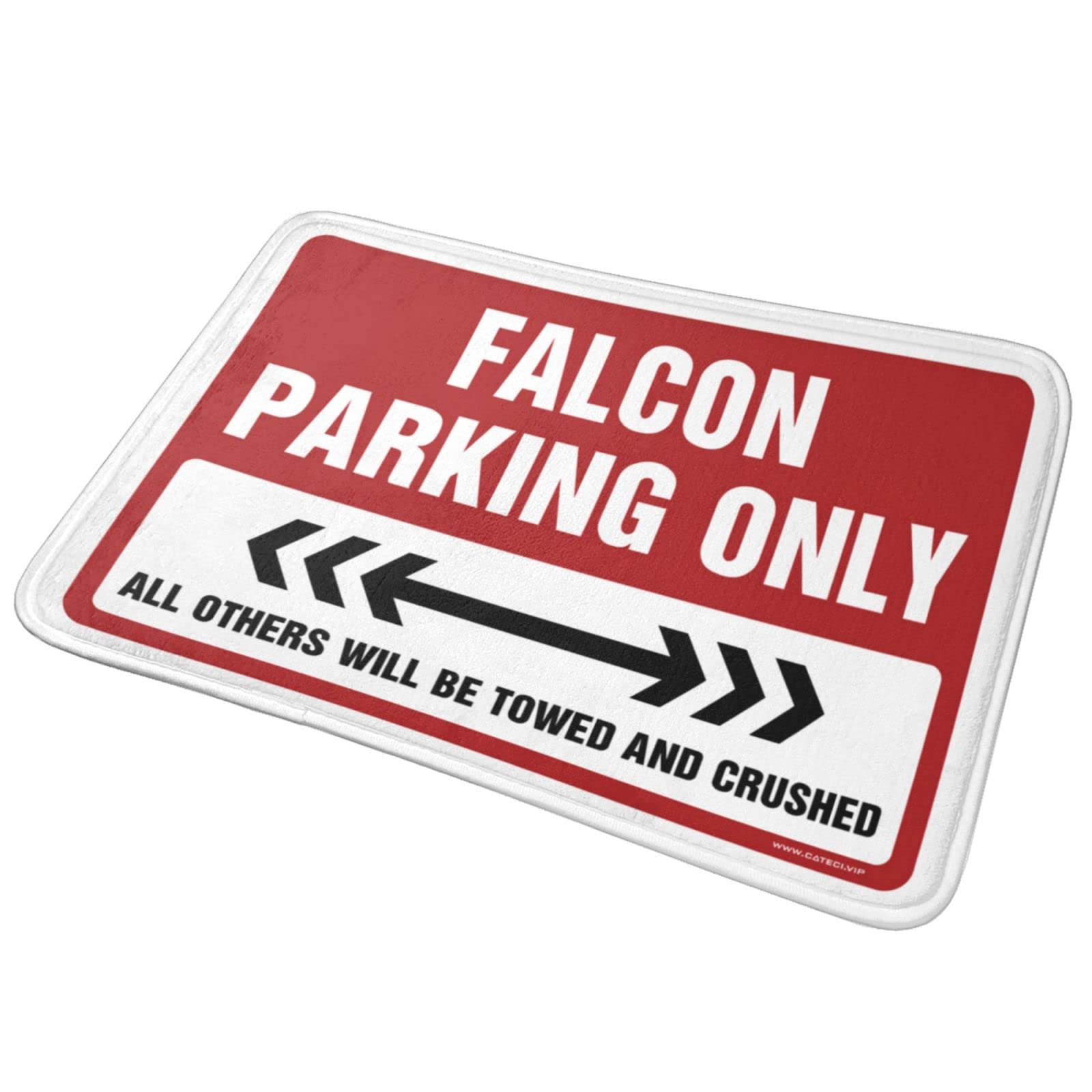 Tapis de porte amusant pour entrée extérieure, Falcon Parking uniquement, tapis résistant aux intempéries pour la maison et le bureau, accessoires pour homme (65 x 90 cm)