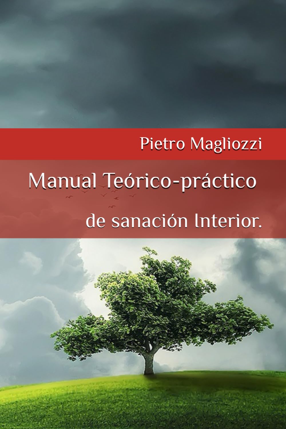 Manual Teórico-práctico de sanación Interior. (Spanish Edition)