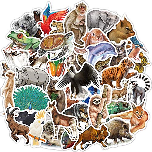 80 Pcs Funny Rainforest Animal Vinyl Stickers for Kids Teachers Students Zoo Animal Waterproof Water Bottle Stickers for Laptop Scrapbook Binders Skateboard Bike Car School Supplies Party Favors