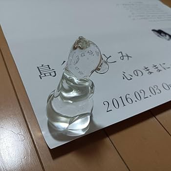 Amazon.co.jp: 島谷ひとみ 2016年 心のままに 直筆サイン入り B2