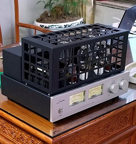 Amazon.co.jp: PSVANE300B-SE+845 6球最高級ステレオ真空管アンプ