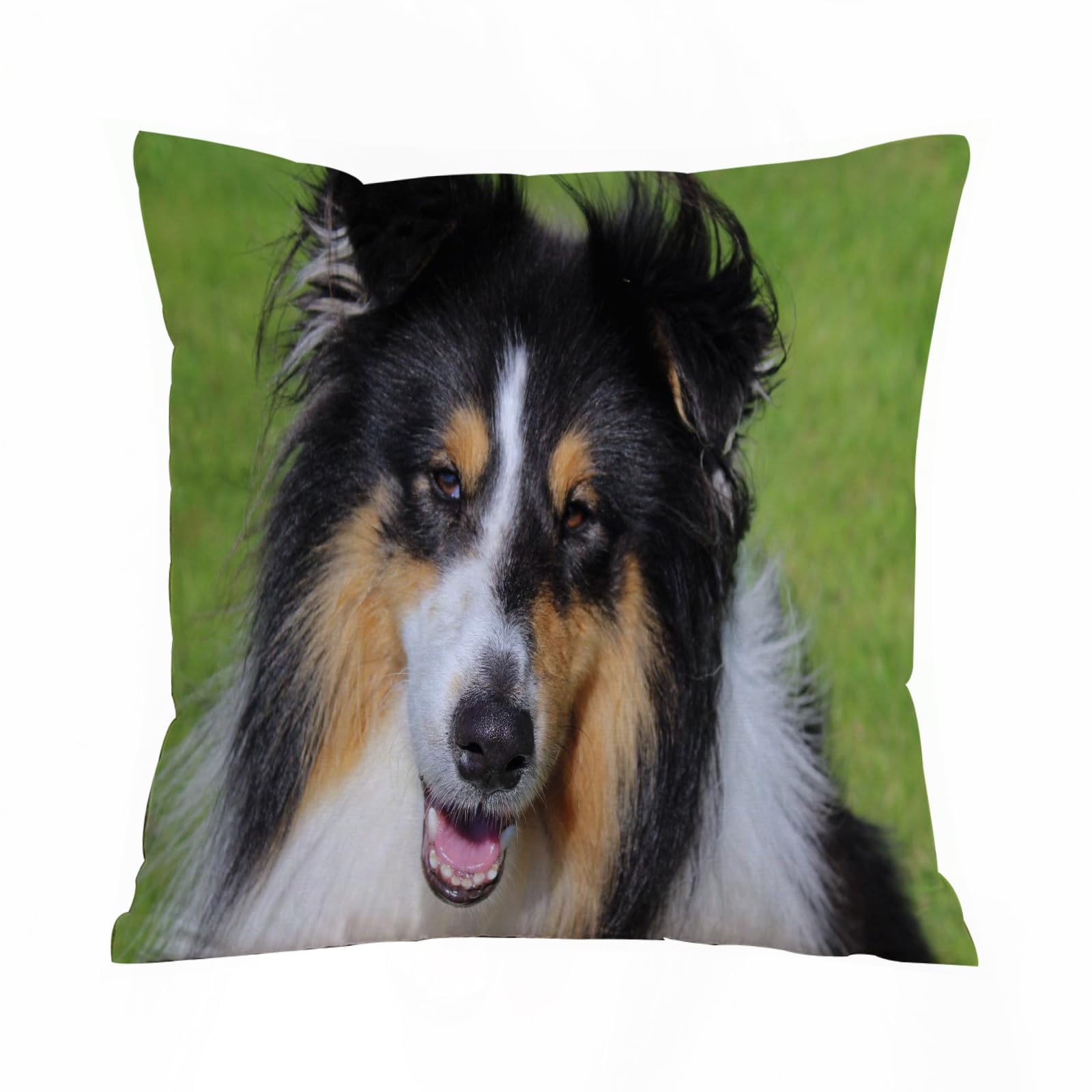 AELKSP Cushion Cover Decorations Pillow Cover Home for Livingroom Couch Sofa Decor Throw Pillow Case Gifts,Close up shot of a tri-color rough collie,18x18 in