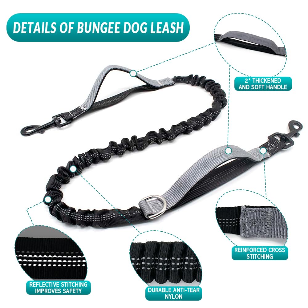 Leckerlitasche für Hunde, Bauchtasche für Hunde Zubehör-Leckerlibeutel mit Kotbeutelspender, reflektierende Bungee-Waist-Leine Für Gassi, Wanderungen & Hundetraining (Grau, Mit 1 Hundeleine)