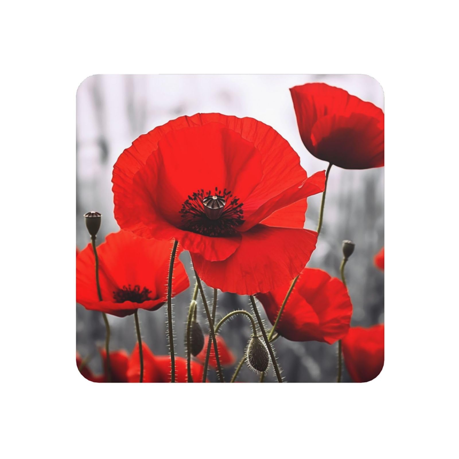 Fridge Magnets Waterproof Personalized Magnets for Fridge Red Poppy Flower Refrigerator Magnets Home Decoration Magnetic Sticker for Locker Accessories Whiteboard Kitchen Office Decor