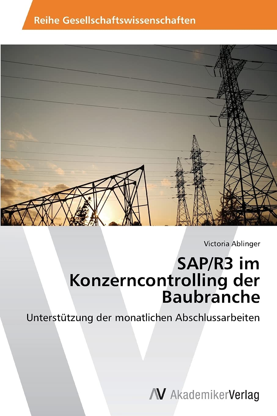 SAP/R3 Im Konzerncontrolling Der Baubranche