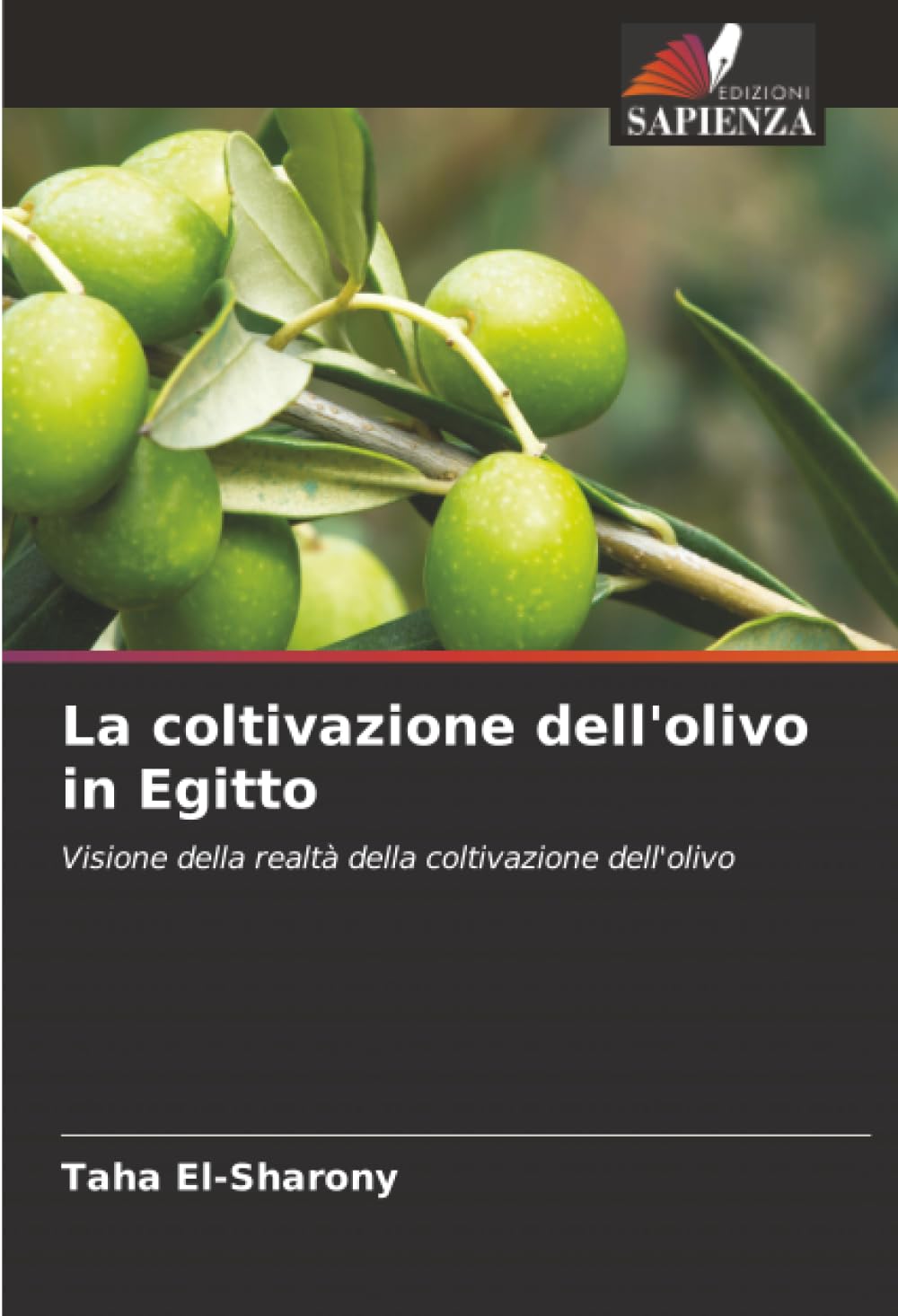 La coltivazione dell'olivo in Egitto: Visione della realtà della coltivazione dell'olivo