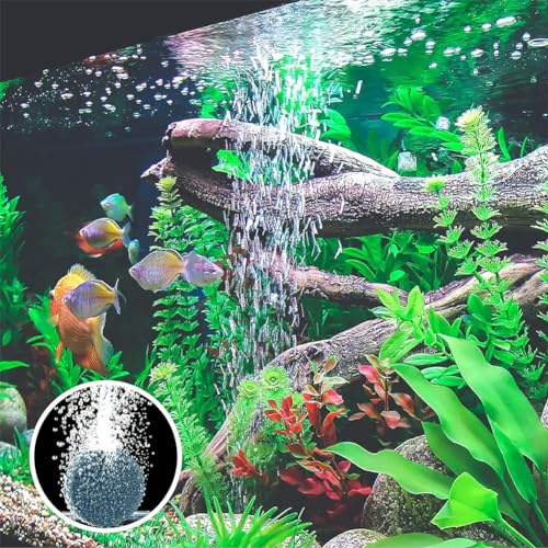 Kiuiom 4 Stück Luftstein Für Aquarium,Bubbles Sauerstoff Diffusor,Blasendiffusor,Sprudelstein Für Teiche,Aquarium Sauerstoff Stein,Ausströmersteine Für Aquarien,Für Luftpumpen,Aquarien,Eimer,Teiche