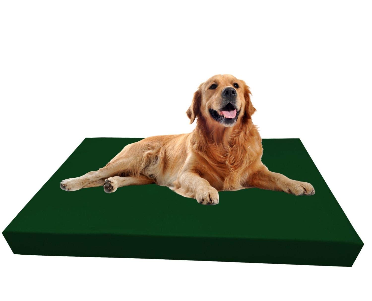 Barry & Lucy® Hundebett aus Kunstleder – Orthopädisches Hundekissen mit abnehmbarem Bezug wasserabweisend & pflegeleicht in 2 Größen Robustes Bett (125x100x10, dunkelgrün)