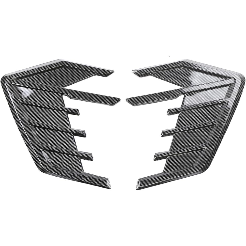 QIZUN 2 Pcs Car Side Vent Trim for Lexus RX450h HYBRID/ES300h HYBRID/UX250H HYBRID 2019, Air Vent Covers for Front Fender, Side Wing Air Intake Grille Vents, Car Fender Side Vents