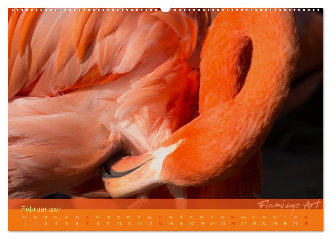 CALVENDO - Flamingo Art 2027 (Wandkalender 2027 DIN A2 quer), Monatskalender: Flamingo Art - Ein absoluter Blickfang im Büro und zu Hause