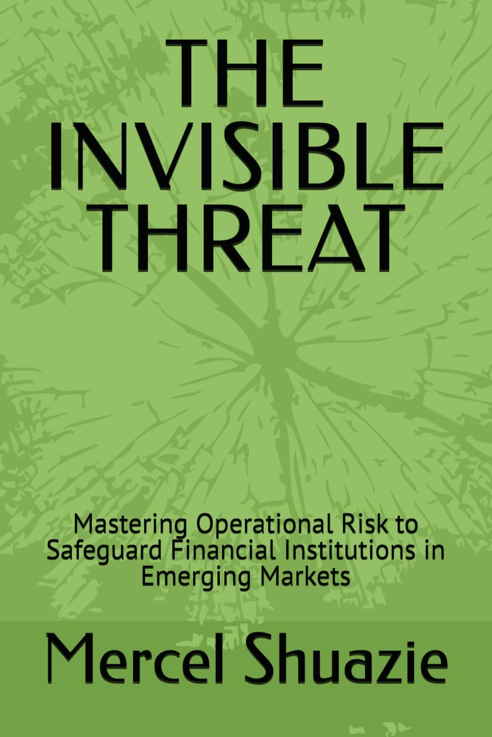 THE INVISIBLE THREAT: Mastering Operational Risk to Safeguard Financial Institutions in Emerging Markets