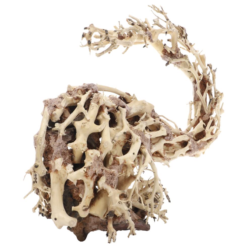 Dupla Hobby Aquaristik Wizard Root M I Natürliche Holzdekoration I Handgefertigte Einzelstücke I 30 x 13 x 23 cm