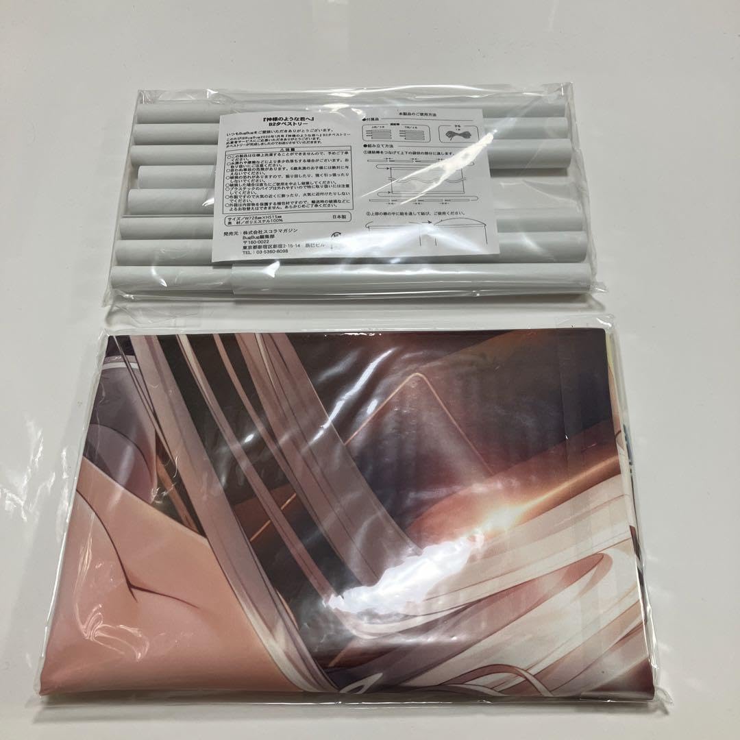 Amazon.co.jp: カントク 神様のような君へ ツクヨミ 組み立て