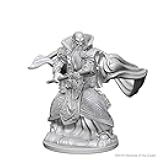 D&D Nolzur’s Marvelous Miniatures: Human Male Wizard