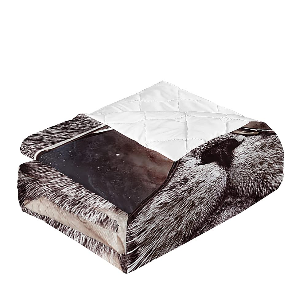 Couvre-Lit Matelassé Chatons Mignons 130x150cm - Microfibre Douce Pour Lit 1 Personne, Léger Et Décoratif