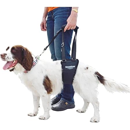 gingerlead dog harness