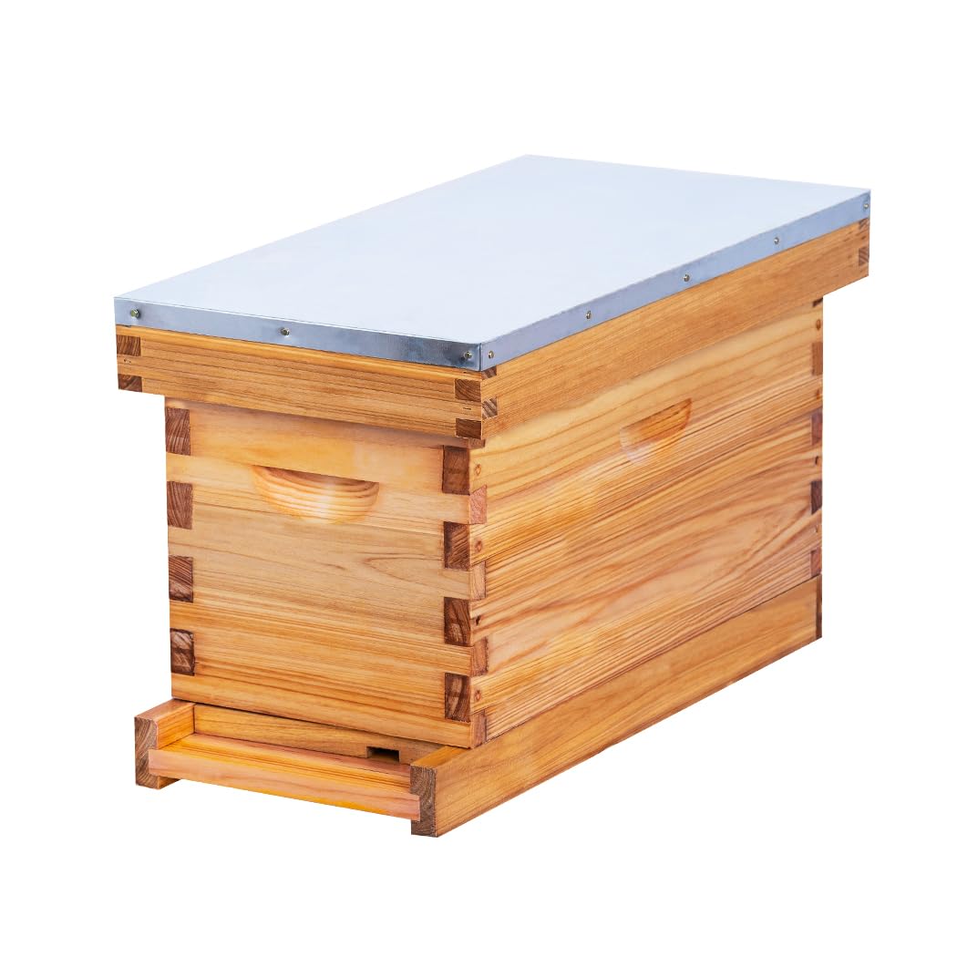 BEEINN 5 Frame Nuc Complete Bee Hive Kit