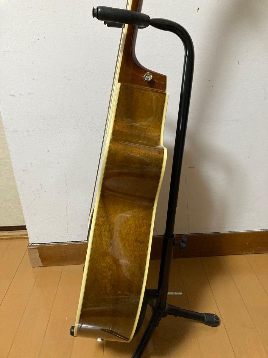 Amazon.co.jp: 「」MorrisモーリスエレアコMR-802 ギグバッグ付 : 楽器
