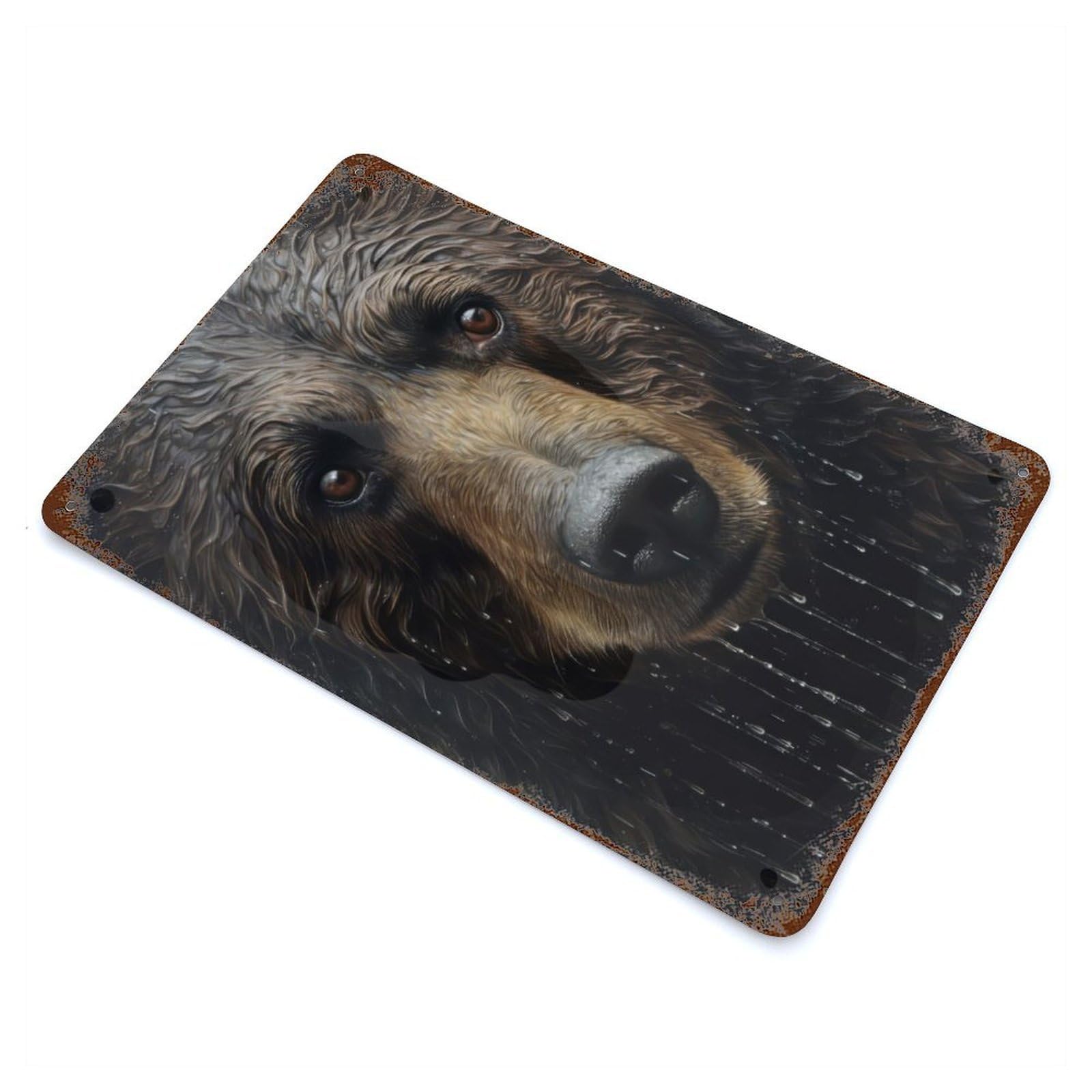 Wet Bear CloseUp Weathered Tin Sign 11.8"x7.9", Novelty Wall Decor for Garage, Pub Or Kitchen