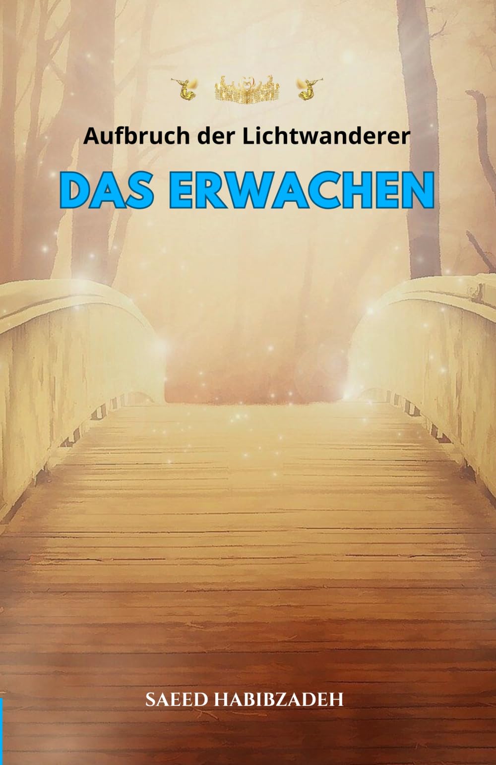 Aufbruch der Lichtwanderer: Das Erwachen