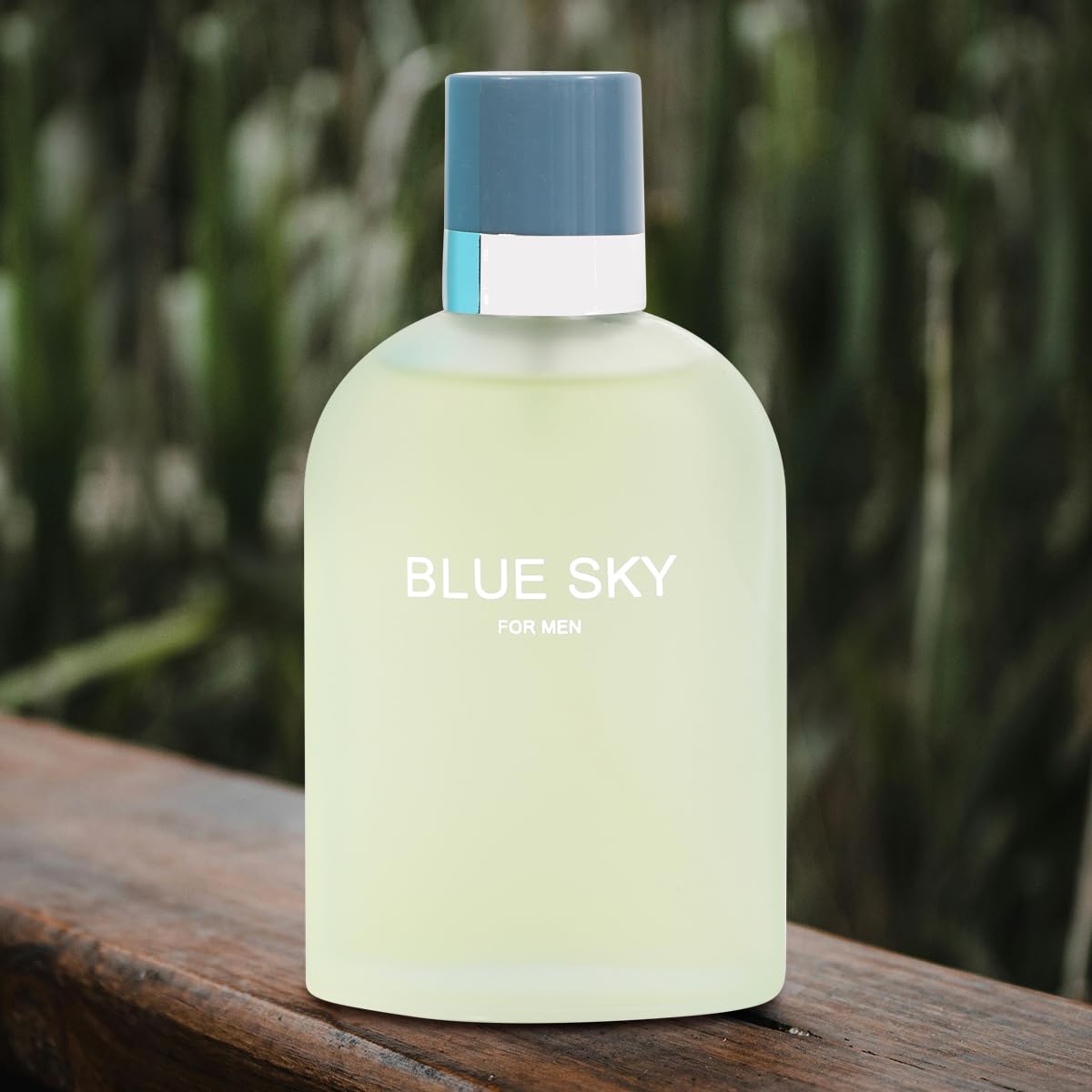 Amazon.com : Blue Sky Men's Perfume Eau de Parfum Fresh Citrus