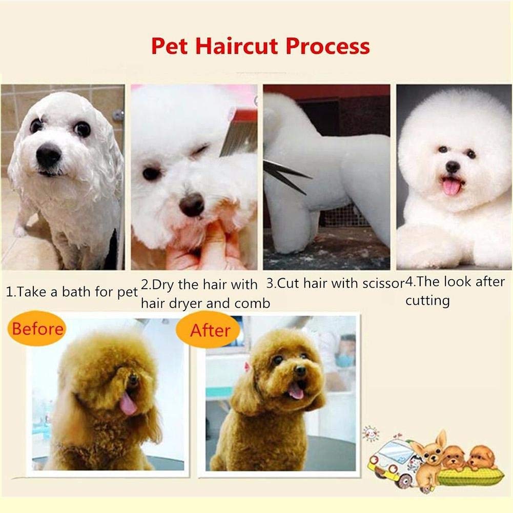 Tool Kit 6-Inch salone professionale del barbiere parrucchiere forbici cesoie di taglio di capelli con il pettine for Pet Grooming lo styling dei capelli 5pcs