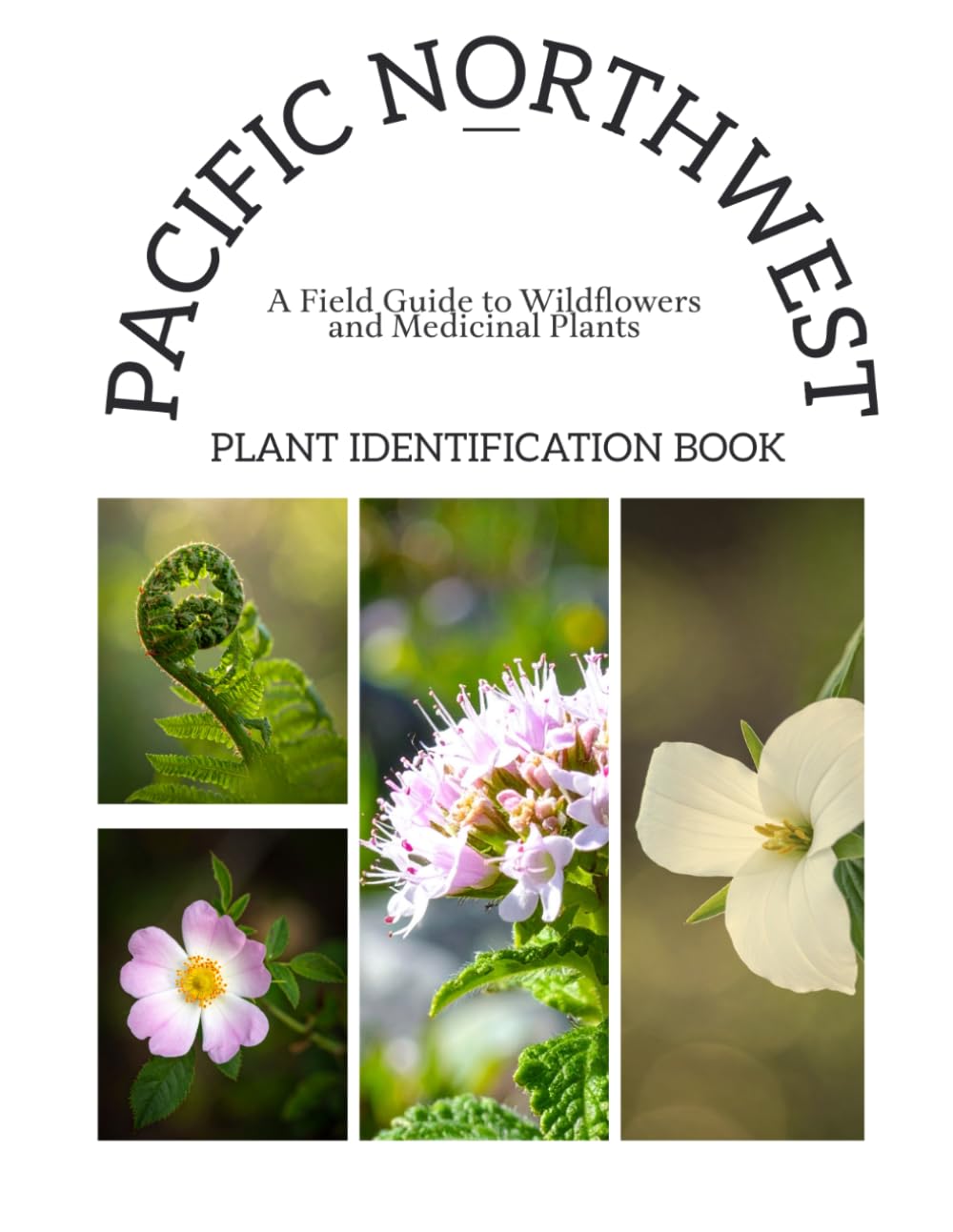 PACIFIC NORTHWEST PLANT IDENTIFICATION BOOK: A Field Guide to Wildflowers and Medicinal Plants