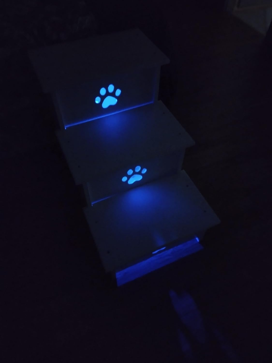 Pet Stairs with Lights inside great for all size pets
